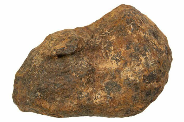 Mundrabilla Iron Meteorite ( g) - Australia #318893